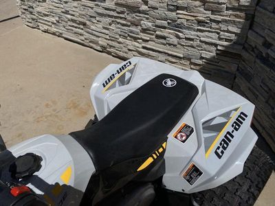 2026 Can-Am Renegade 110 EFI - Photo 7