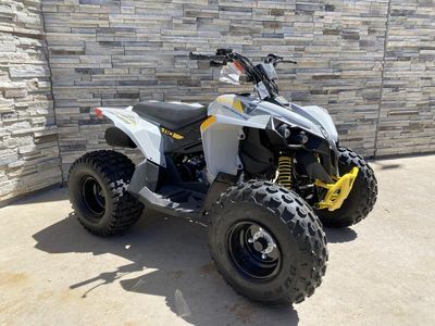 2026 Can-Am Renegade 110 EFI - Photo 2
