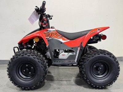 2025 Kayo Fox / Storm 70 - Photo 8