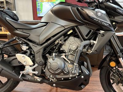 2025 Yamaha MT-03 - Photo 14