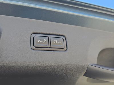 2026 Kia Carnival — photo 11 view