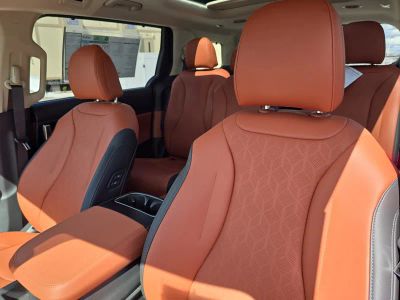 2026 Kia Carnival — photo 22 view