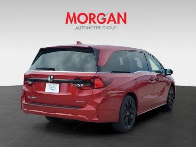2026 Honda Odyssey — interior view