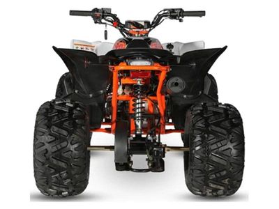 2023 Kayo Predator 125 - Photo 8