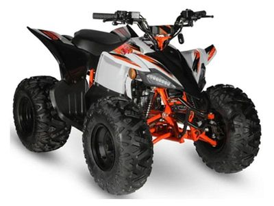 2023 Kayo Predator 125 - Photo 3