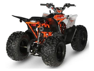 2023 Kayo Predator 125 - Photo 5