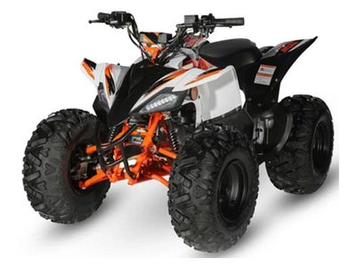 2023 Kayo Predator 125 - Photo 4
