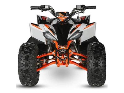 2023 Kayo Predator 125 - Photo 7