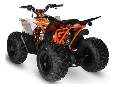 2023 Kayo Predator 125 - Photo 6