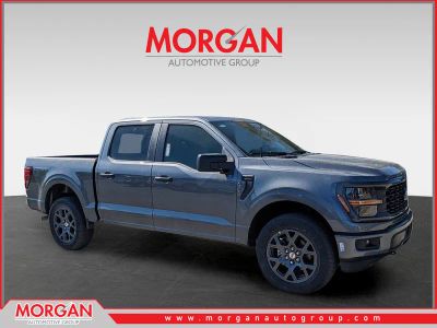 2026 Ford F-150 STX in Gray — front three-quarter view
