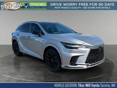 2024 Lexus RX — detail view