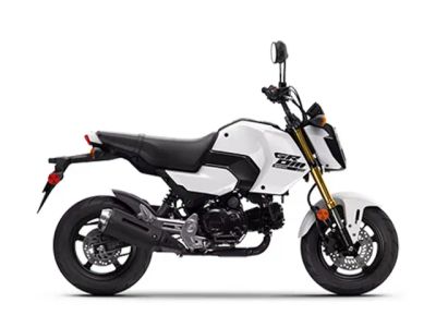 2025 Honda® Grom — front three-quarter view