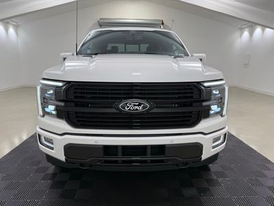 2025 Ford F-150 Platinum Truck V6 EcoBoost — side profile view