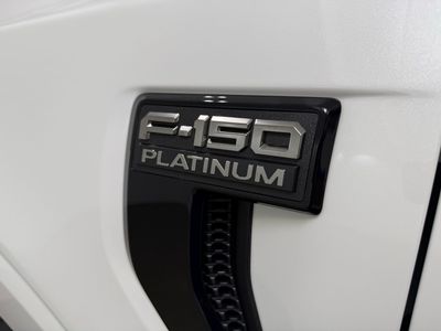 2025 Ford F-150 Platinum Truck V6 EcoBoost — photo 12 view