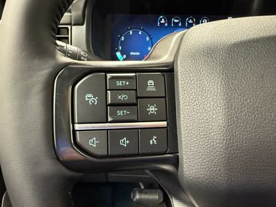 2025 Ford F-150 Platinum Truck V6 EcoBoost — photo 22 view