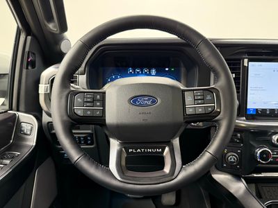 2025 Ford F-150 Platinum Truck V6 EcoBoost — photo 31 view