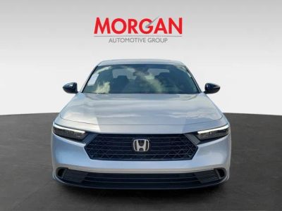 2026 Honda Accord Hybrid — side profile view