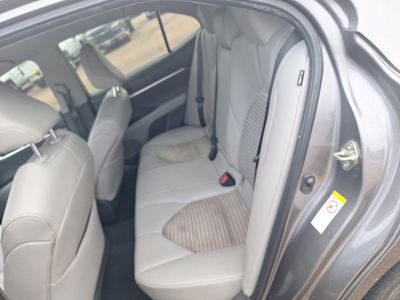 2019 Toyota Camry - Photo 13