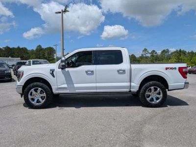 2023 Ford F-150 — side profile view