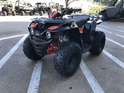 2025 Kayo Bull 125 - Photo 2