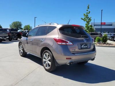 2014 Nissan Murano — detail view