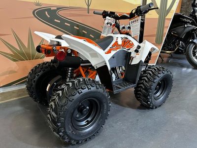 2025 Kayo Fox / Storm 70 - Photo 3