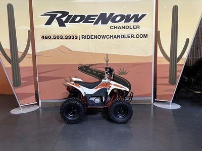 2025 Kayo Fox / Storm 70 - Photo 5