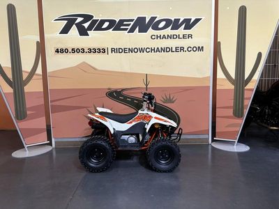 2025 Kayo Fox / Storm 70 - Photo 6