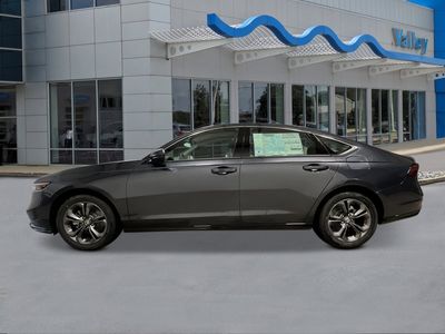 2026 Honda Accord Hybrid — side profile view