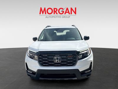 2023 Honda Passport - Photo 2