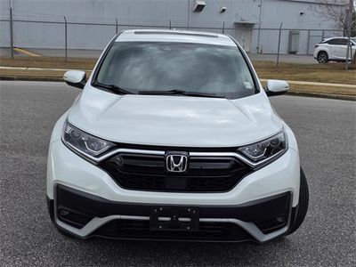 2022 Honda CR-V - Photo 2