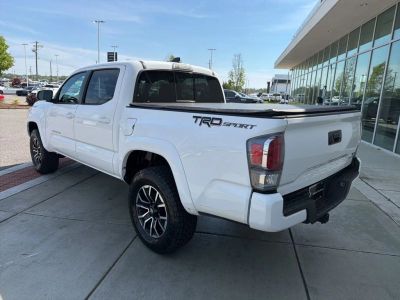 2020 Toyota Tacoma - Photo 4