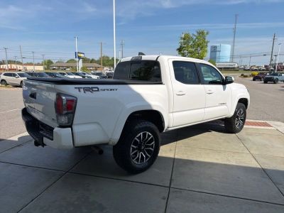 2020 Toyota Tacoma - Photo 6