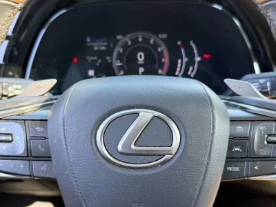 2023 Lexus RX - Photo 28