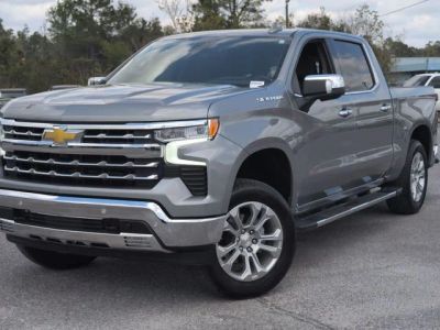 2025 Chevrolet Silverado 1500 - Photo 1