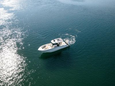 2025 Scout PF WHT 400 V10 VDO JPO - Photo 8