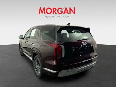 2024 Hyundai Palisade — detail view