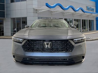 2026 Honda Accord Hybrid — photo 8 view