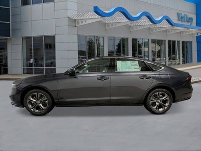2026 Honda Accord Hybrid — side profile view