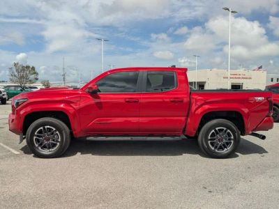 2025 Toyota Tacoma - Photo 2
