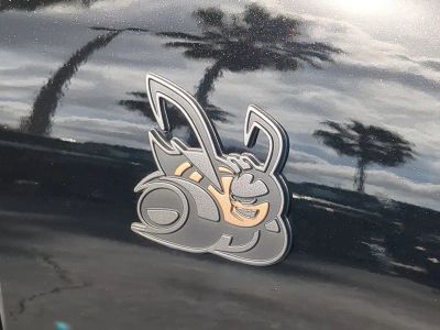 2026 Dodge Charger — photo 13 view