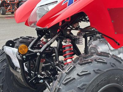 2026 Honda TRX250X - Photo 10