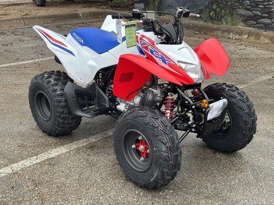 2026 Honda TRX250X - Photo 2