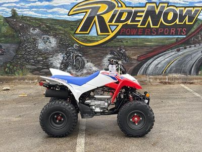 2026 Honda TRX250X - Photo 5