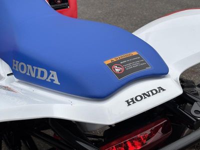 2026 Honda TRX250X - Photo 7
