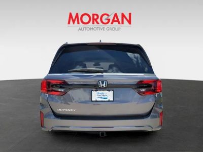 2026 Honda Odyssey — detail view