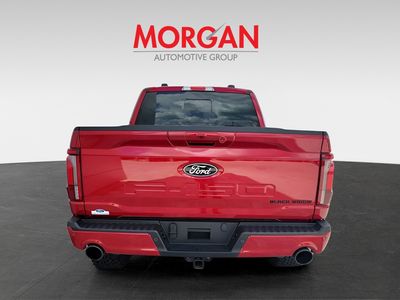 2025 Ford F-150 - Photo 4