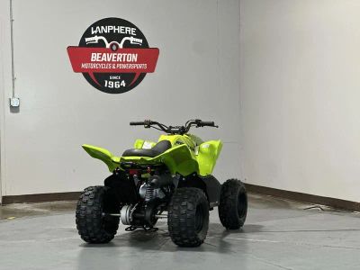 2026 Yamaha Raptor 110 - Photo 3