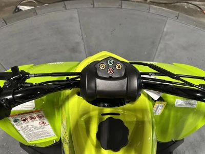 2026 Yamaha Raptor 110 - Photo 11