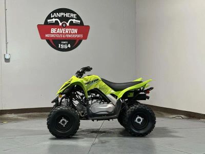 2026 Yamaha Raptor 110 - Photo 9